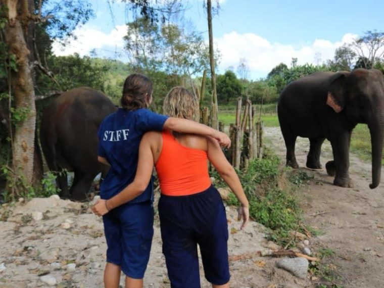 Visiting an Elephant Sanctuary in Thailand