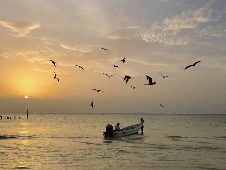 A backpackers guide to Isla Holbox, Mexico